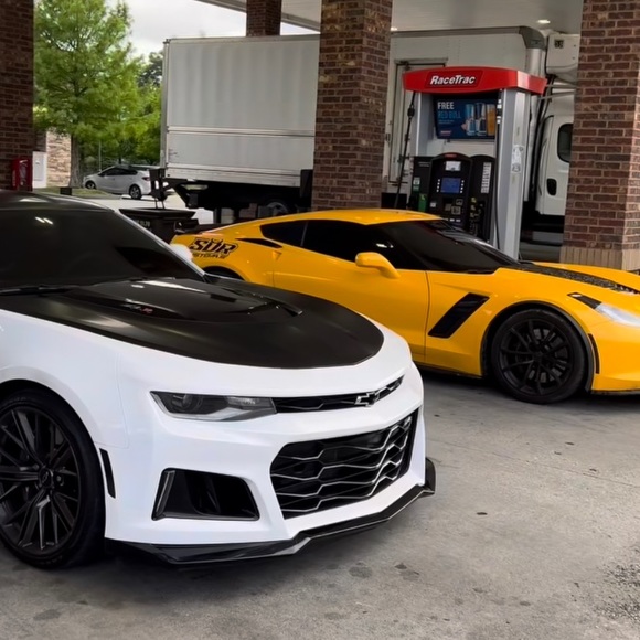 Meet your Posher, Leo - Picture 2 of 2